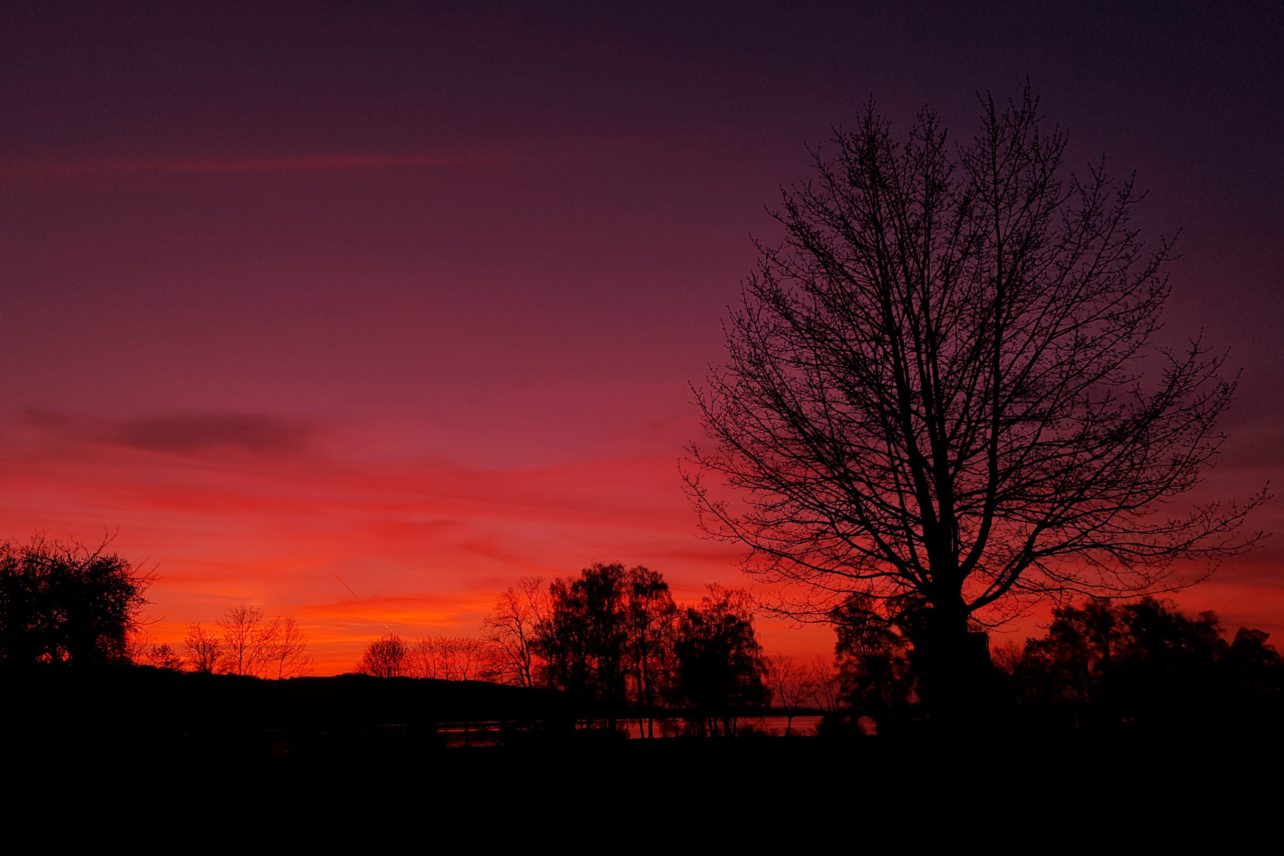 Licht und Klang am Greifensee: Flammenrot (Teil 7 von 12)